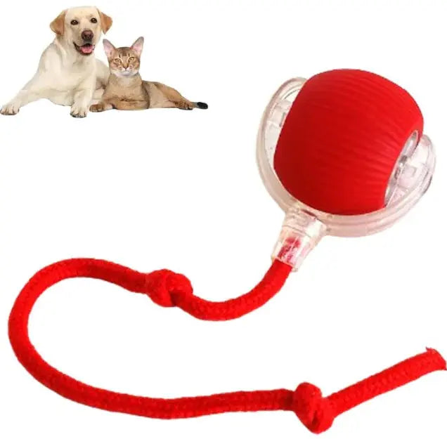 Smart Rolling Pet Ball Mijn winkel