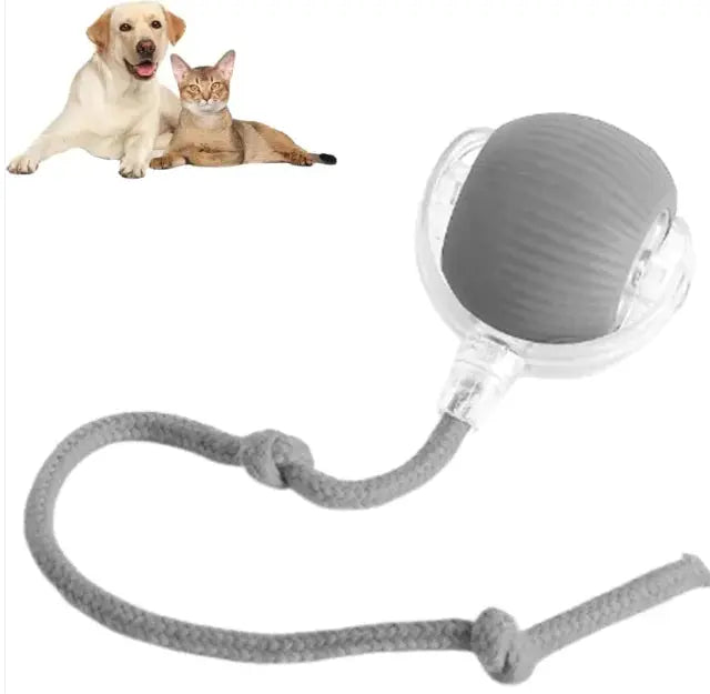Smart Rolling Pet Ball Mijn winkel