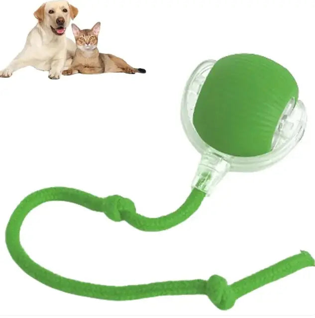 Smart Rolling Pet Ball Mijn winkel