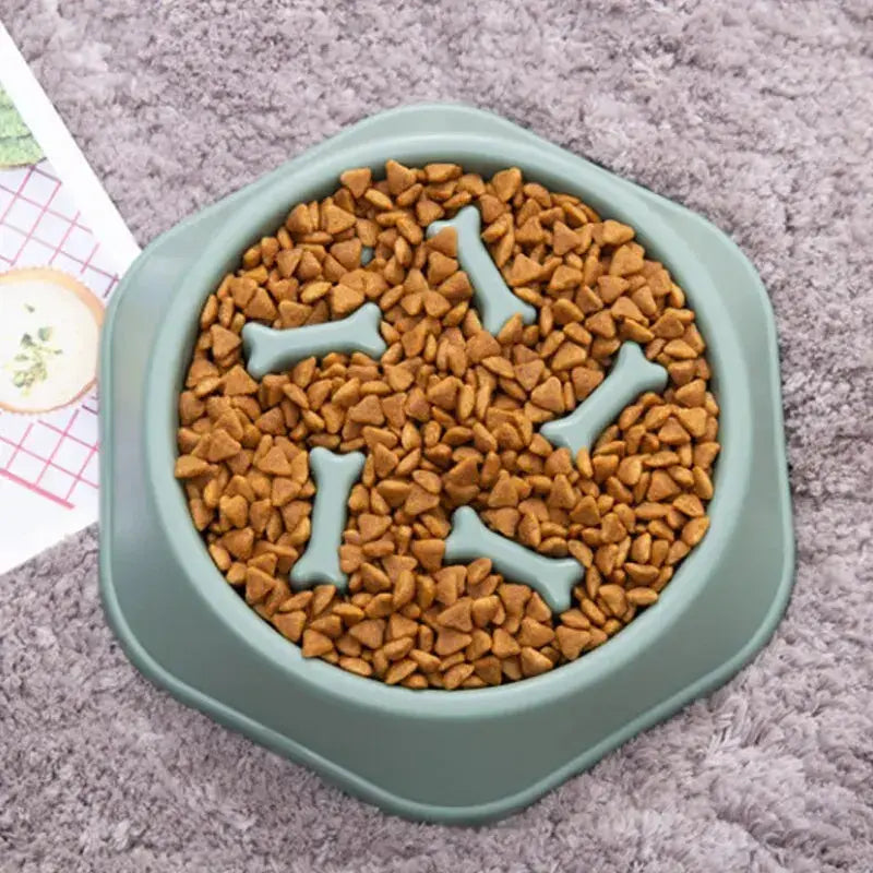 Slow Feeder Pet Bowl Mijn winkel